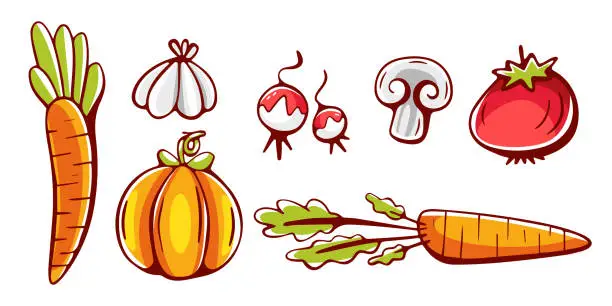 Vector illustration of A set of vector elements on the theme of vegetables in cartoon style, pumpkins, radishes, carrots, garlic, mushrooms, tomatoes.