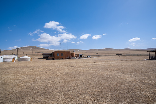 Hustai National Park as known Khustain Nuruu National Park, Central Mongolia