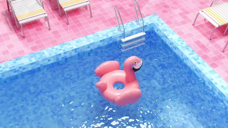 Flamingos float around the swimming pool