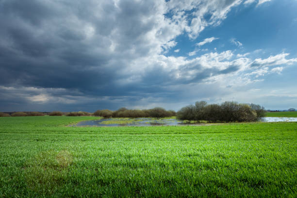 Free Stock Photo of Green Field Under Dark Clouds | Download Free ...