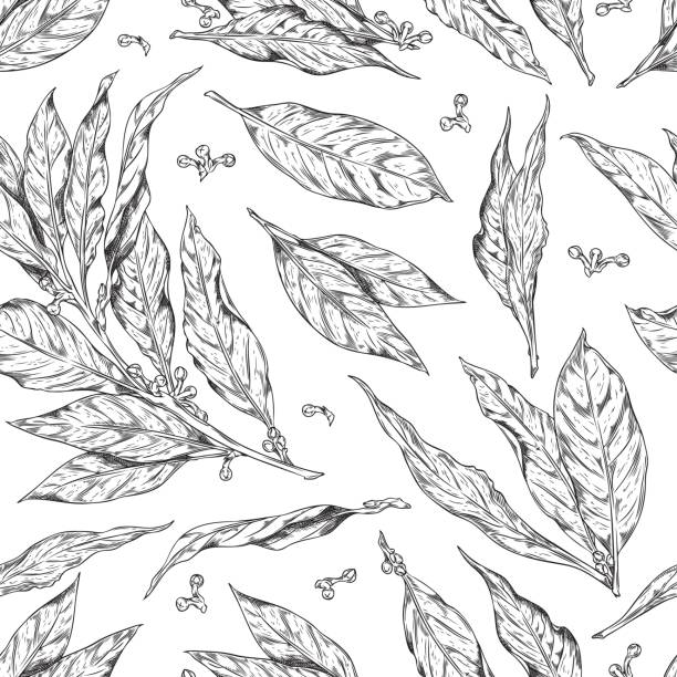 Monochrome bay leaves seamless pattern, hand drawn sketch vector illustration isolated on white background. Monochrome bay leaves seamless pattern, hand drawn sketch vector illustration isolated on white background. Vintage style herbs drawing. Concepts of seasoning and cooking. tree crown stock illustrations