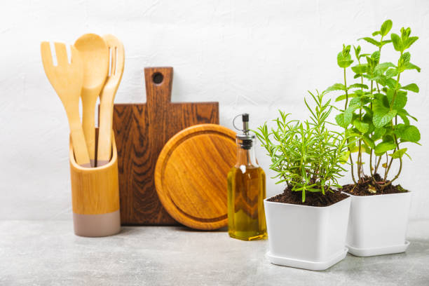 istock Assorted fresh herbs growing in pots against the backdrop of a kitchen interior. Green basil, mint. oregano, thyme and rosemary. Mixed fresh aromatic herbs in pots.Set of culinary herbs.Copy space. 1501747175
