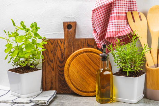istock Assorted fresh herbs growing in pots against the backdrop of a kitchen interior. Green basil, mint. oregano, thyme and rosemary. Mixed fresh aromatic herbs in pots.Set of culinary herbs.Copy space. 1501749771