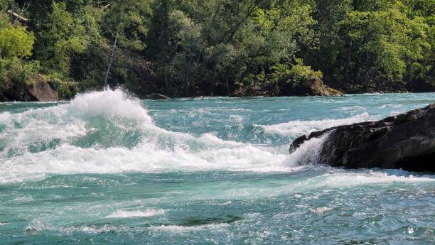 istock River Gorge Rapids. Niagara Falls, Canada with lush green vegetation in the background 1501751963
