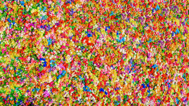 istock large frame with vivid natural flowers of different colors 1501752916