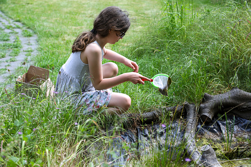 Caucasian child looks for wildlife in garden pond