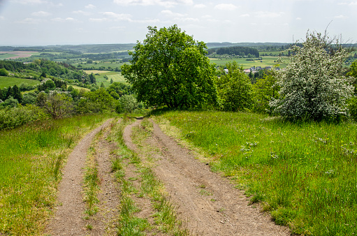 Dirt road leading down with a magnificanet view of the Eifel mountains near the volcanic lakes of Daun, Germany