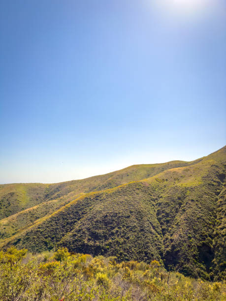 istock Southern California Mountain Range - Color Portrait Format 1501766219