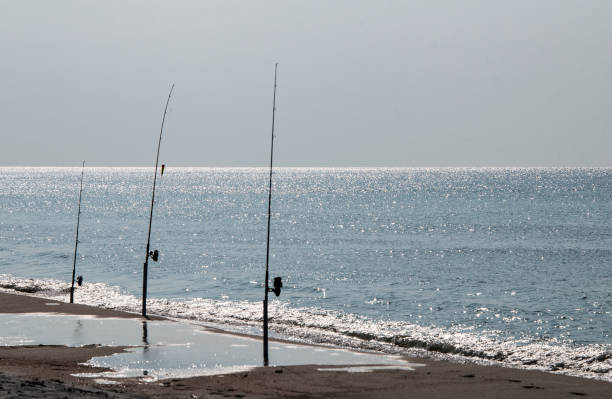 Surf Casting Gear Three rods and reels ready for surf casting in the Gulf of Mexico sea fishing stock pictures, royalty-free photos & images