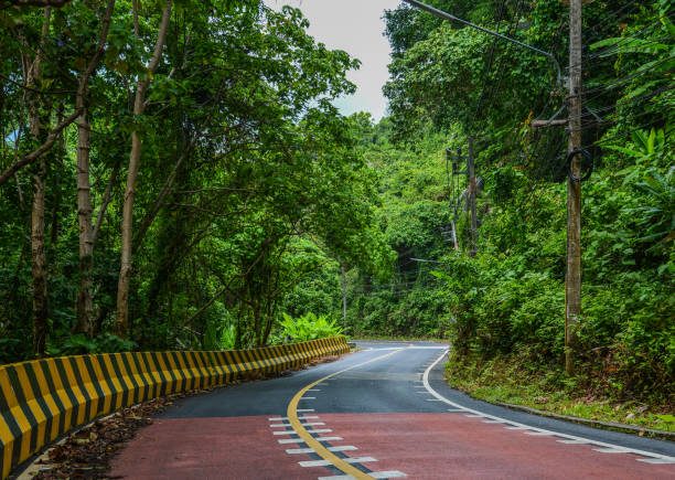 istock Rural road in Phuket, Thailand 1501769359