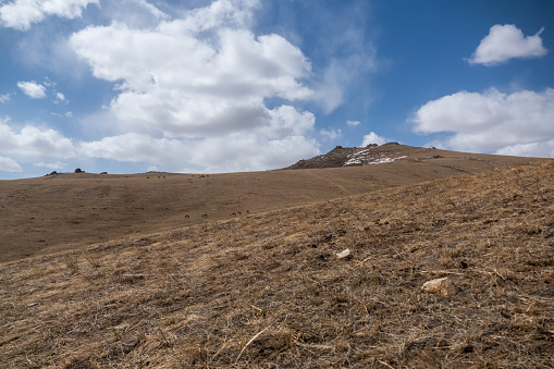 Landscape in Hustai National Park as known Khustain Nuruu National Park, Central Mongolia