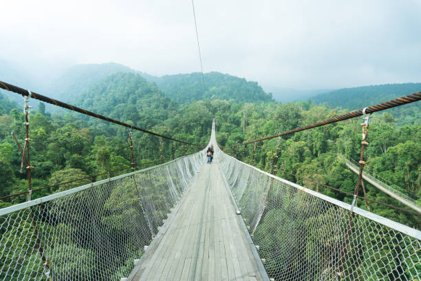 istock View of suspension bridge on a cloudy day 1501773797