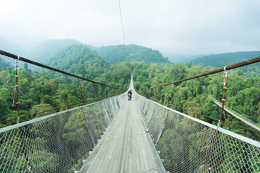 View of suspension bridge among the tropical rainforest on a cloudy day