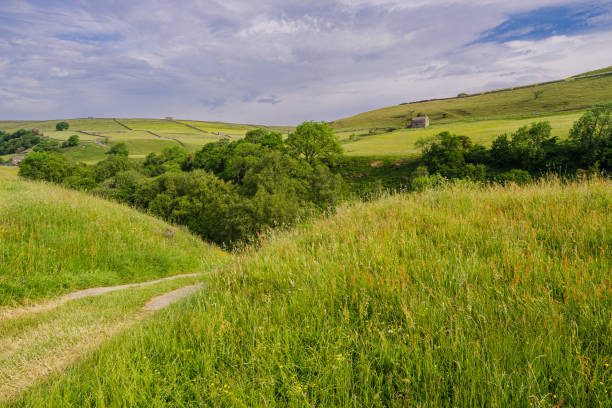 istock Yorkshire Dales Scenery, Swaledale 1501775254