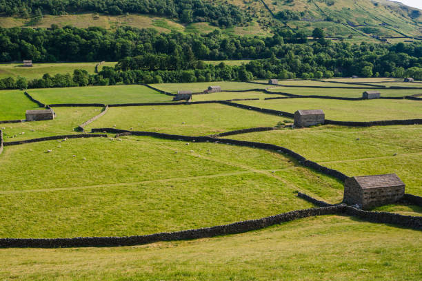 istock Swaledale, near Gunnerside 1501775275
