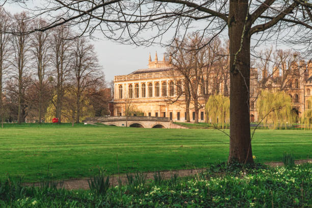 istock Beautiful University building and yard in Cambridge, UK 1501778819