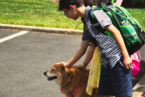 Kids going back to school and saying bye to their dog.