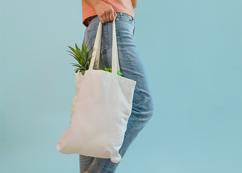 young female carrying reusable cloth bag of fruits and vegetables isolated on blue background, concept for campaign of using reusable bag, reduce waste, stop global warming, save the world