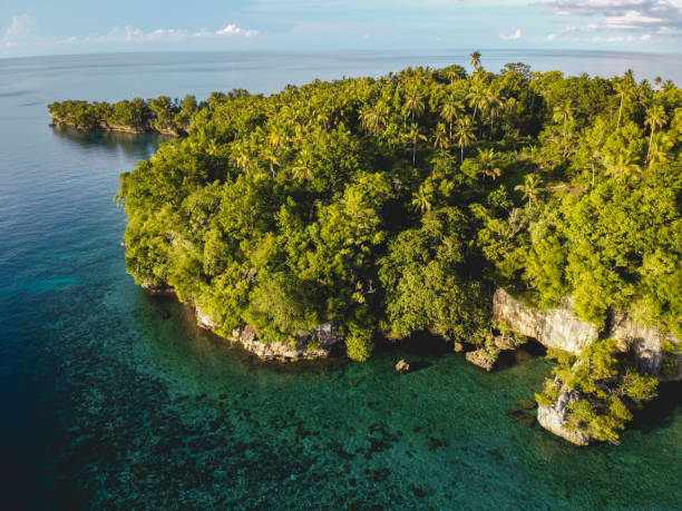 istock Pisang Island in Banda Archipelago, Central Maluku 1501782757