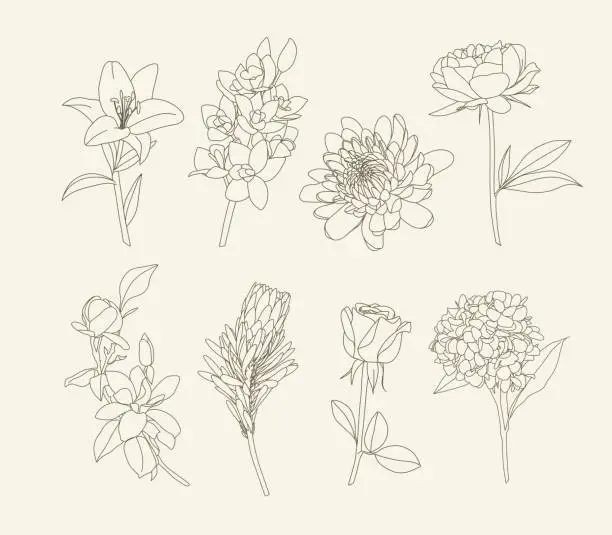 Vector illustration of line art flower set