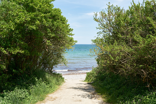 Path to the Baltic Sea beach between the towns of Kühlungsborn and Heiligendamm in Germany