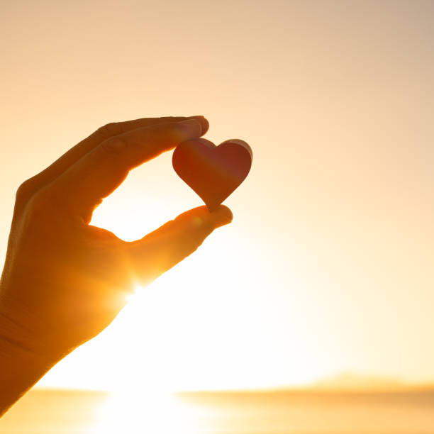 istock Hand holding heart. Love symbol 1501785372