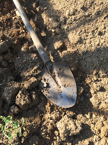 A spade in the ground, digging up part of the grass.