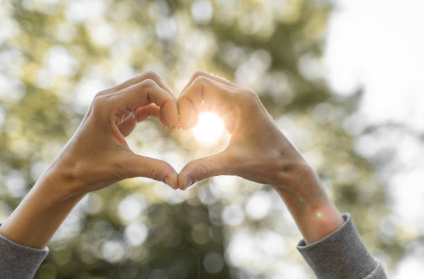 istock Hand making heart shape on sunset sky background. 1501785915