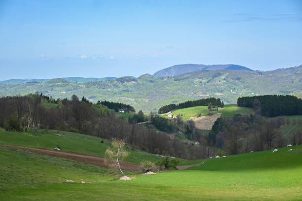 istock Mountain in  Serbia 1501787080