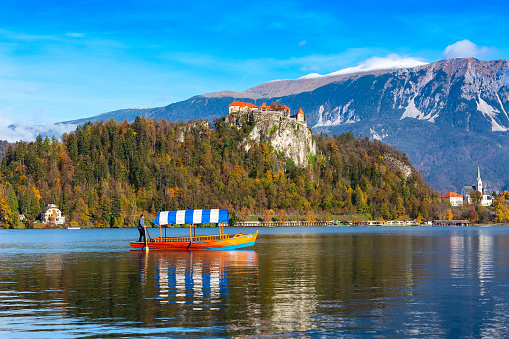 Bled, Slovenia - October 31, 2018: Lake Bled with tourists in Pletna boat, castle and autumn colorful trees background