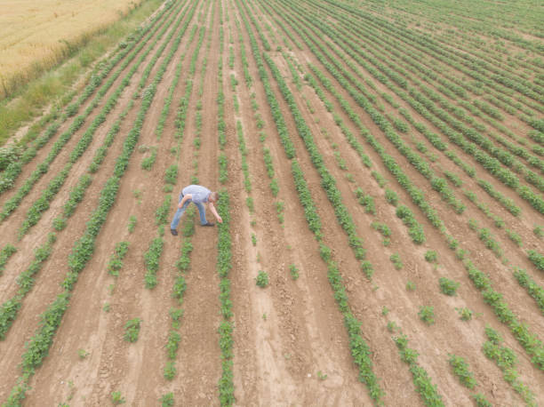 istock Agriculture small business 1501788737