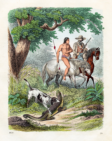 Hunting a Crocodile Using a Goat as Decoy in India - Very rare plate from 