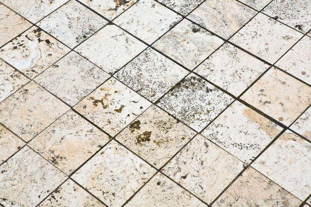 istock New paving made with stone blocks in a pedestrian zone 1501792360