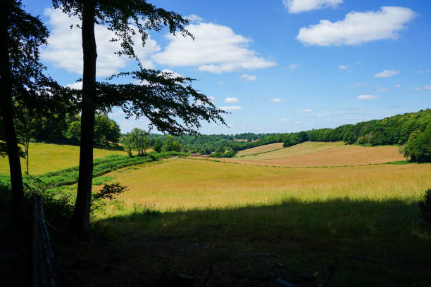 istock View over brown farm fields and countryside 1501794234