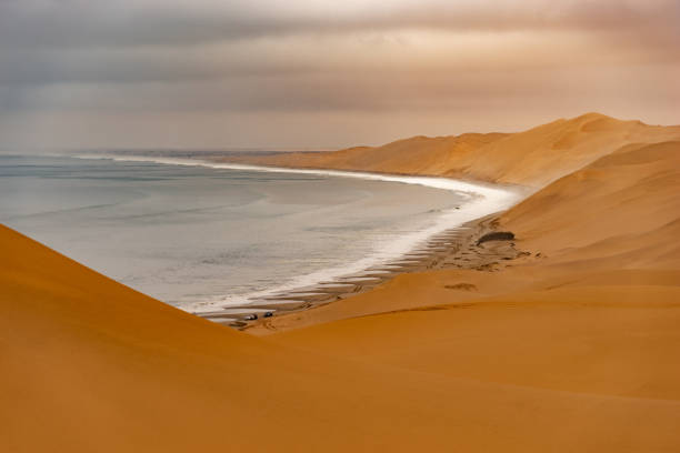 istock Ocean bay sand dunes desert 1501797675