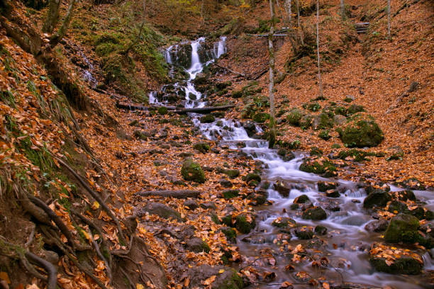 istock Autumn leaves in autumn river stream water 1501818901