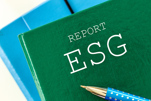 ESG report, Environmental, social and governance areas, type of non-financial report, presentation of the company's own activities not related to purely economic development indicators