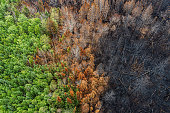 Aerial View of Wildfire Damage