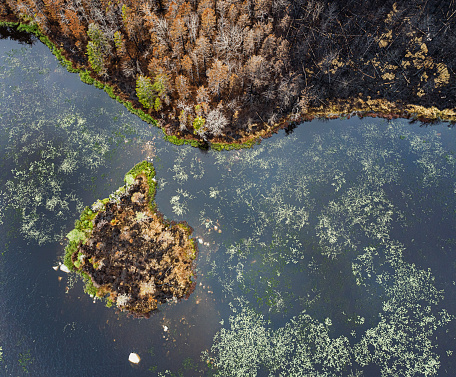 Aerial view a lake surrounded by wildfire damage.