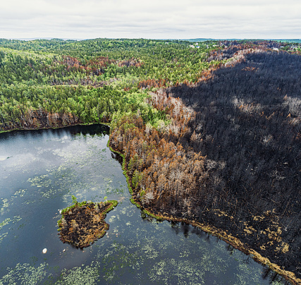 Aerial view a lake surrounded by wildfire damage.