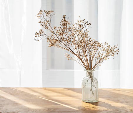 Stylish modern dry gypsophila flowers in glass vase on a wooden background with morning shadows in Scandinavian style. Free space for text.