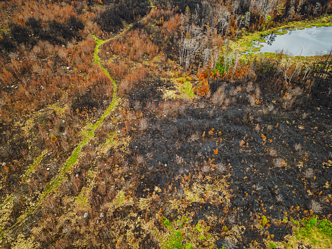 Aerial view of a charred landscape after a wildfire.