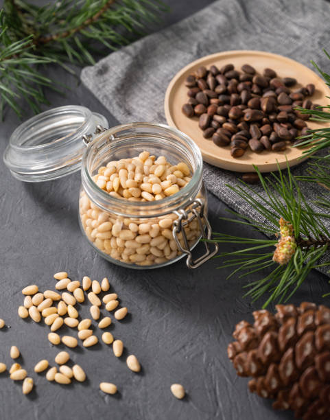 istock Pine nuts in a jar, bowl and a scattered on a dark background with branches of pine needles and cone close up. The concept of a natural, organic and healthy superfood and snack 1501836956