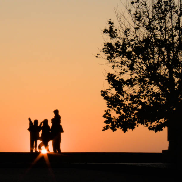 istock Sunset at Farol da Barra, Aveiro 1501862362