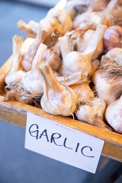 istock Garlic at a farmer's market 1501867303