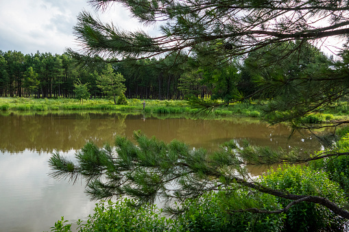 A man fishing for perch and bass on a pond in Oklahoma.