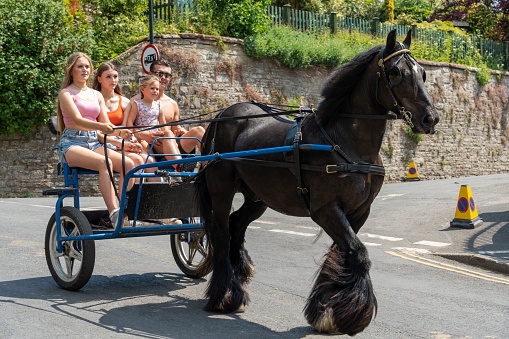 Appleby-in-Westmorland, United Kingdom – June 10, 2023: People in a horse drawn exercise cart go along 'The Flashing Lane' at the Appleby Horse Fair, Appleby-in-Westmorland, UK.