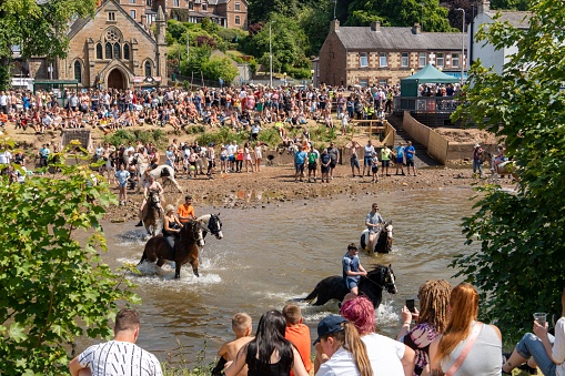 Appleby-in-Westmorland, United Kingdom – June 10, 2023: Appleby Horse Fair tradition of the gypsy and traveller community washing their horses in the River Eden on Appleby-in-Westmorland, UK.