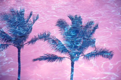 double exposure image  of palm trees and pool water surface