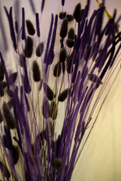 A beautiful lavender bouquet on a wooden bench. Shot with a Canon 5D Mark IV.